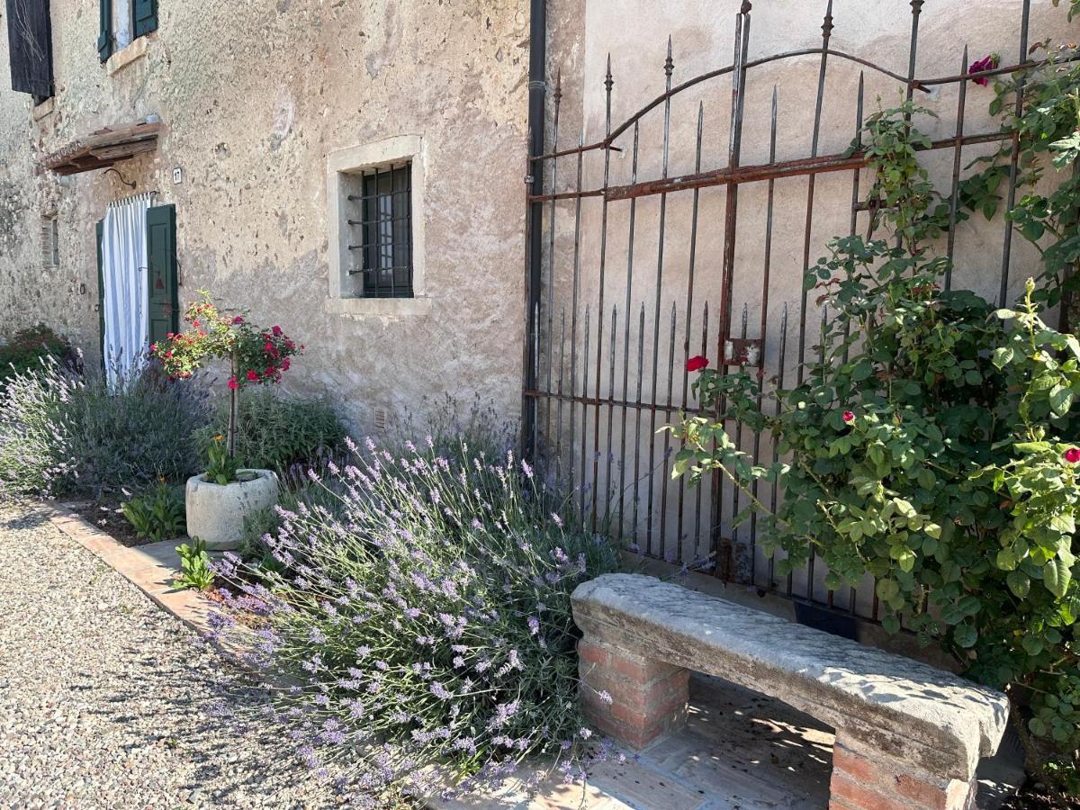 Ca Nova Agriturismo Castellaro  Dış mekan fotoğraf