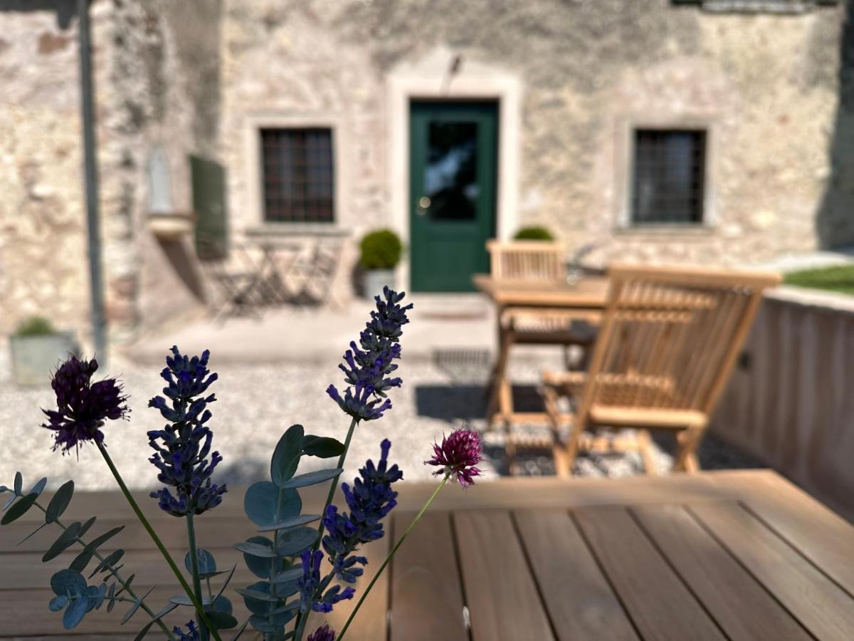 Ca Nova Agriturismo Castellaro  Dış mekan fotoğraf
