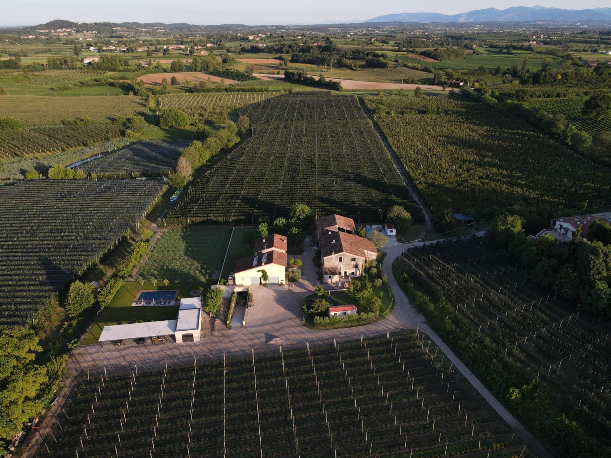 Ca Nova Agriturismo Castellaro  Dış mekan fotoğraf