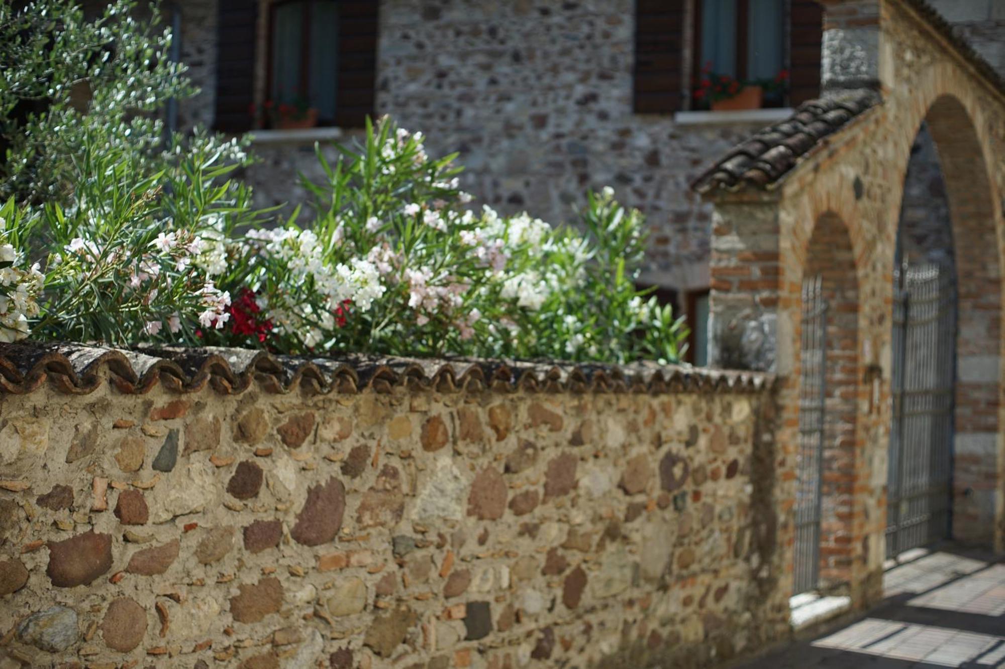 Ca Nova Agriturismo Castellaro  Dış mekan fotoğraf