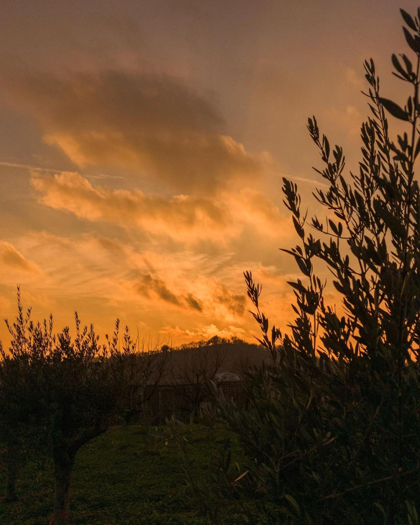 Ca Nova Agriturismo Castellaro  Dış mekan fotoğraf