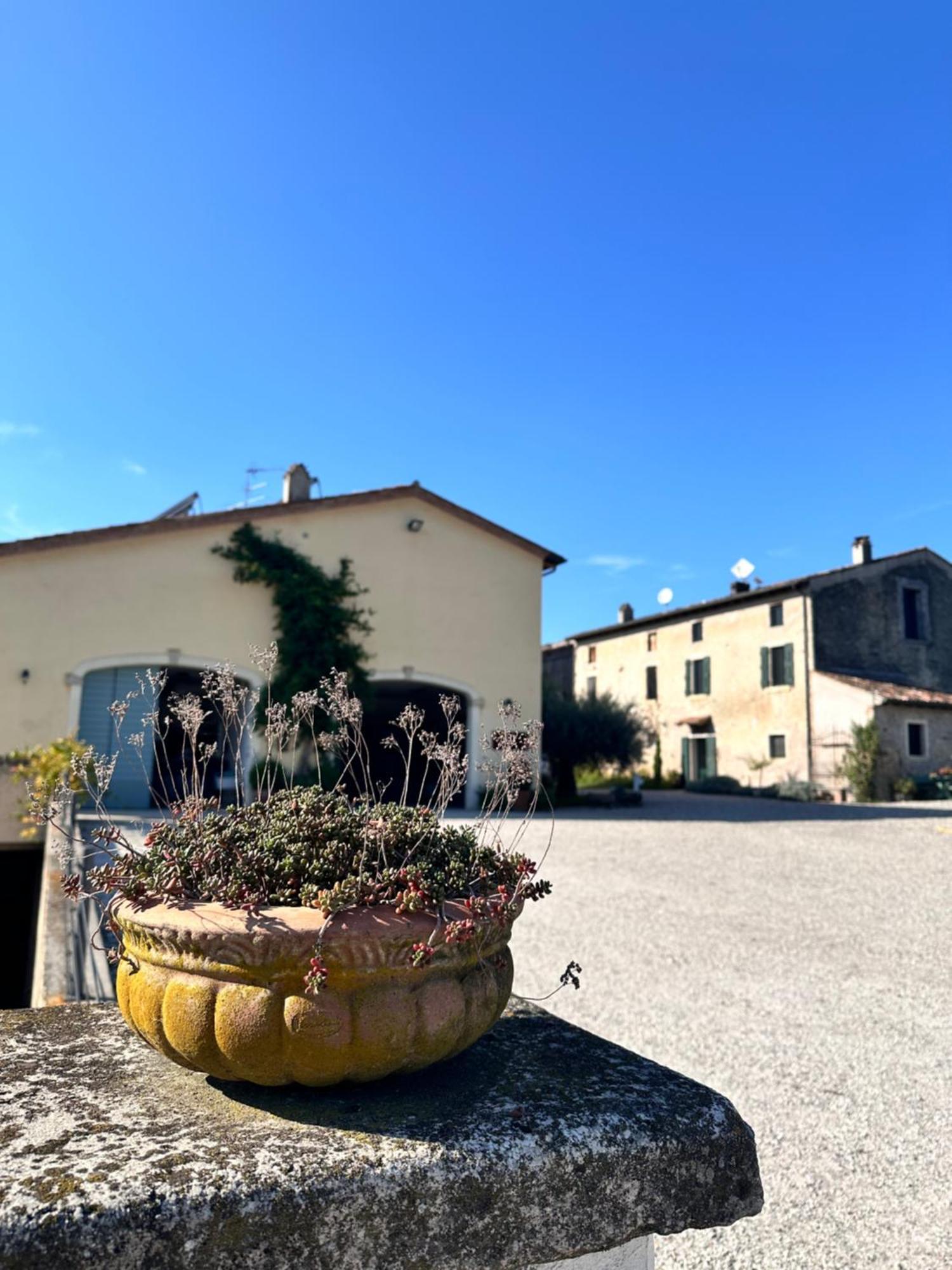 Ca Nova Agriturismo Castellaro  Dış mekan fotoğraf