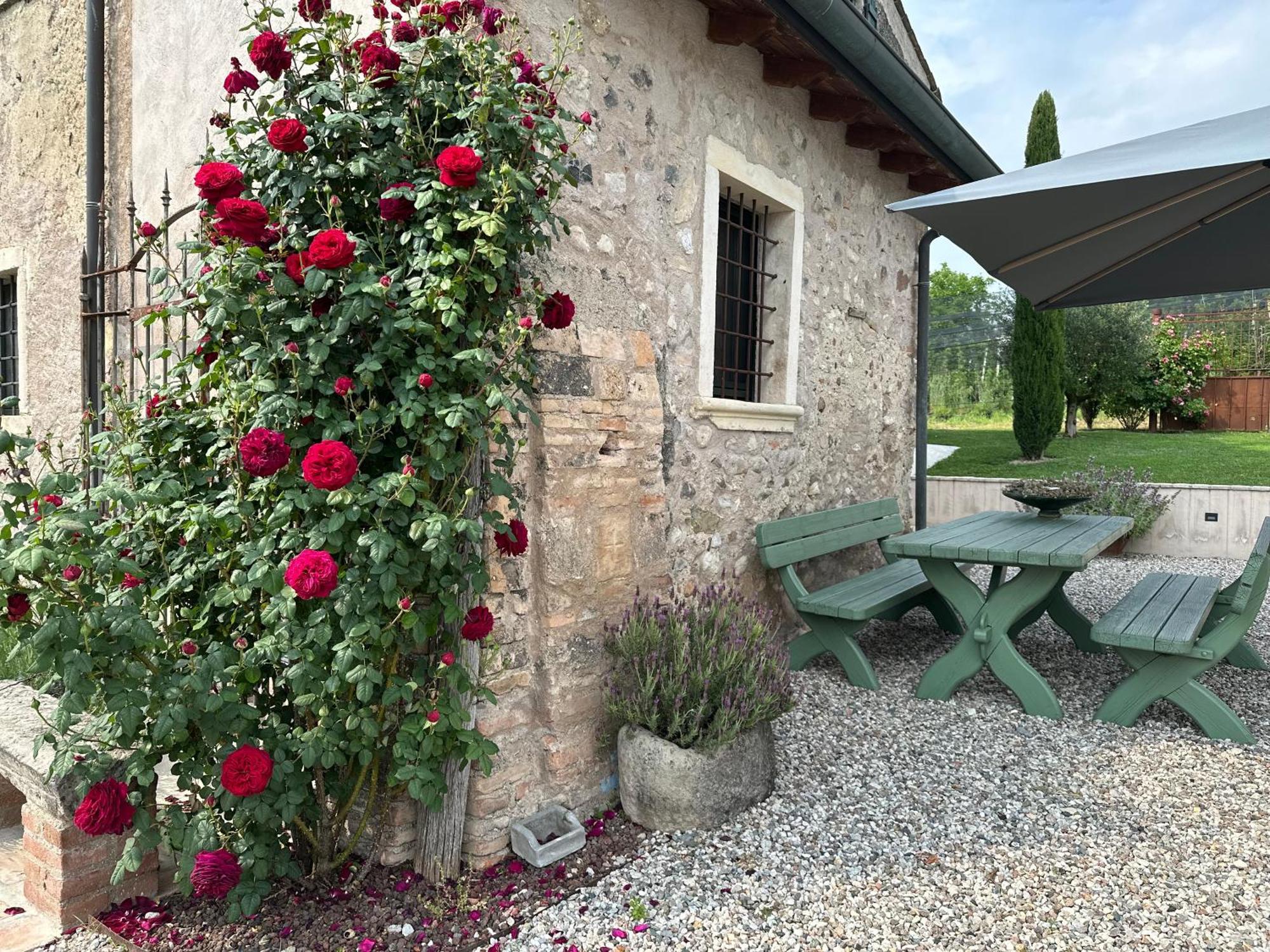 Ca Nova Agriturismo Castellaro  Dış mekan fotoğraf