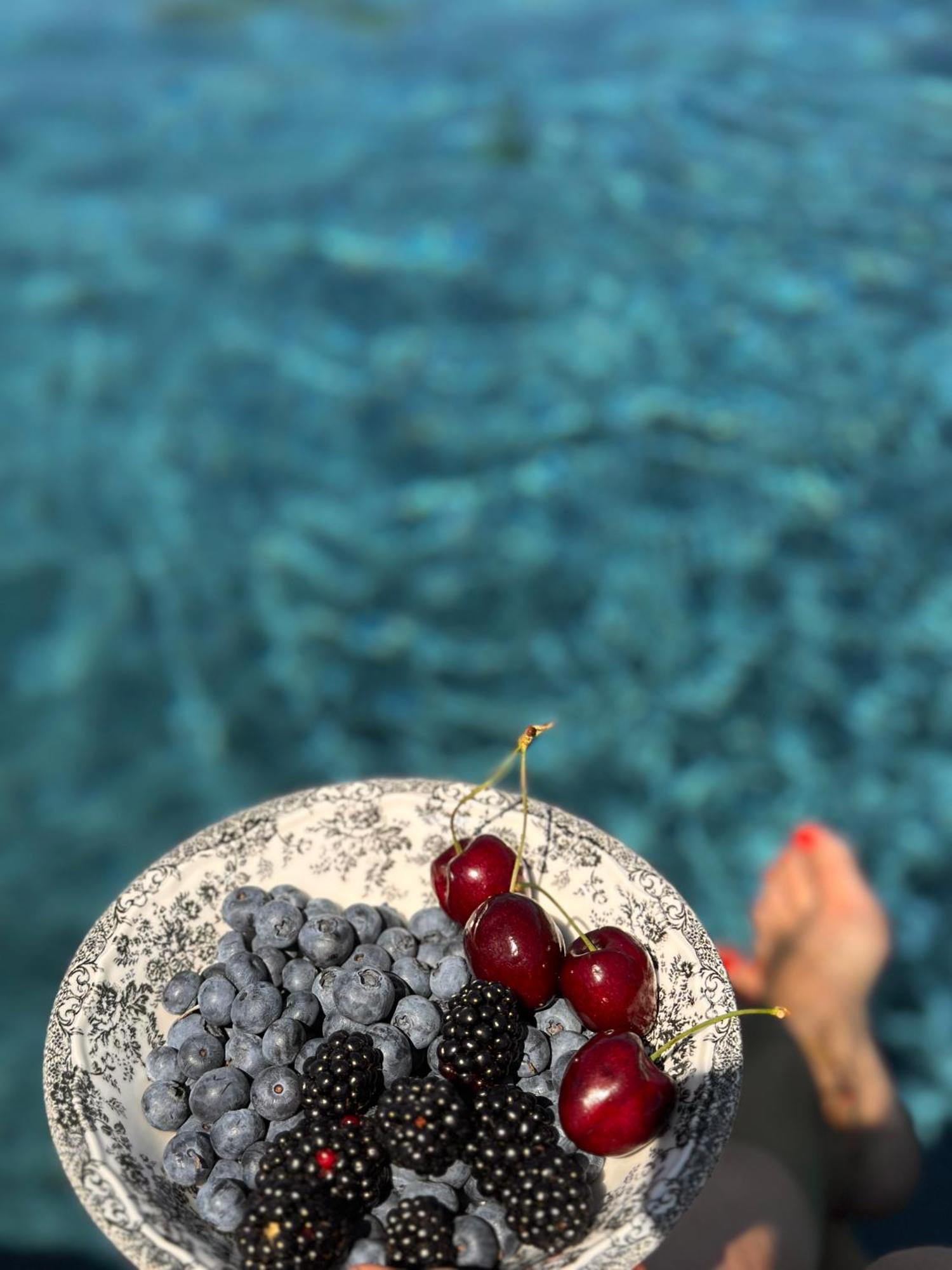 Ca Nova Agriturismo Castellaro  Dış mekan fotoğraf
